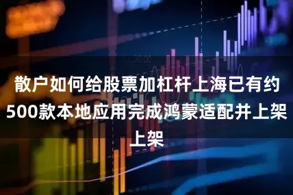 散户如何给股票加杠杆上海已有约500款本地应用完成鸿蒙适配并上架