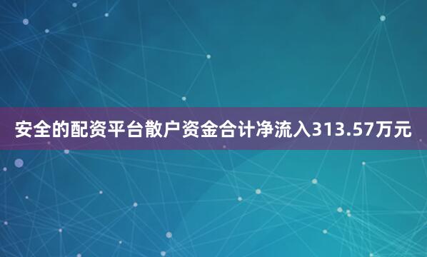 安全的配资平台散户资金合计净流入313.57万元