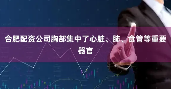 合肥配资公司胸部集中了心脏、肺、食管等重要器官