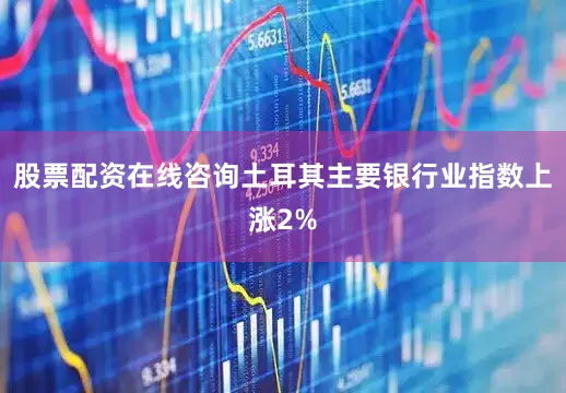 股票配资在线咨询土耳其主要银行业指数上涨2%
