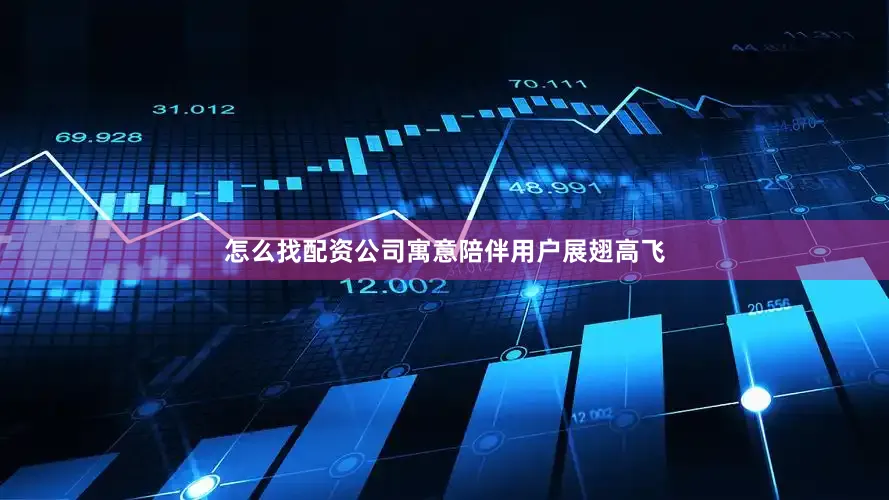 怎么找配资公司寓意陪伴用户展翅高飞